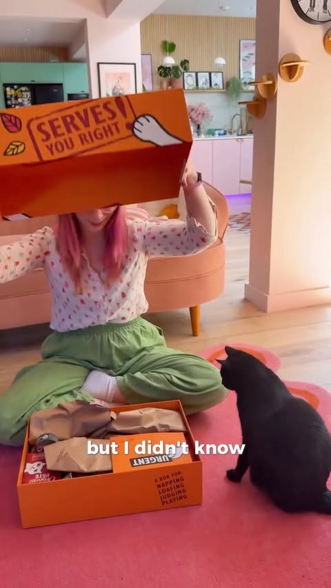 Instagram post by @kimjoy for Lily's Kitchen. Caption reads: ad | Inki and Mochi have been fans of....