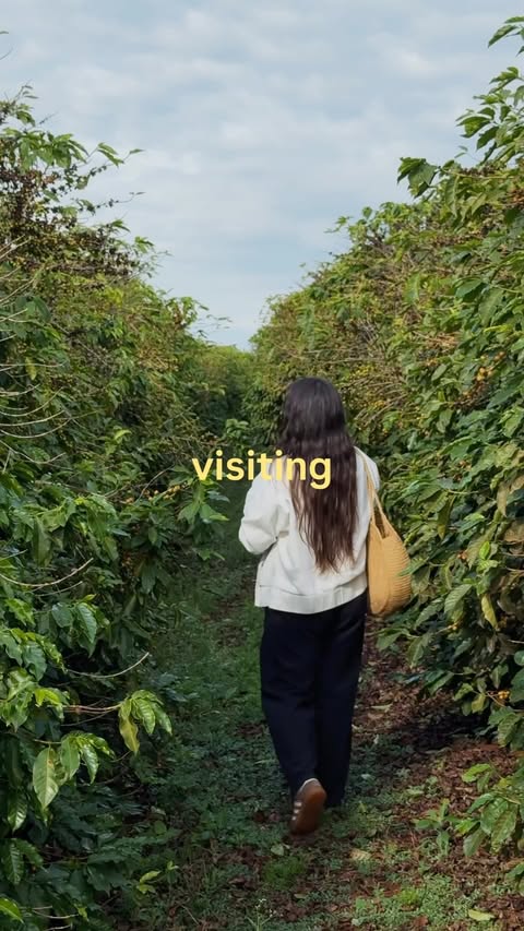 Instagram post by @melissamale for illy. Caption reads: [...] and being able to witness the journey of....