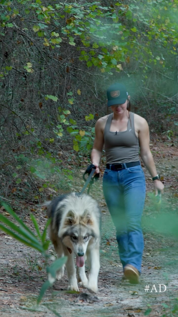 Instagram post by @hannahbarron96 for Purina Pro Plan. Caption reads: Josey is growing strong with @proplan Sport!....