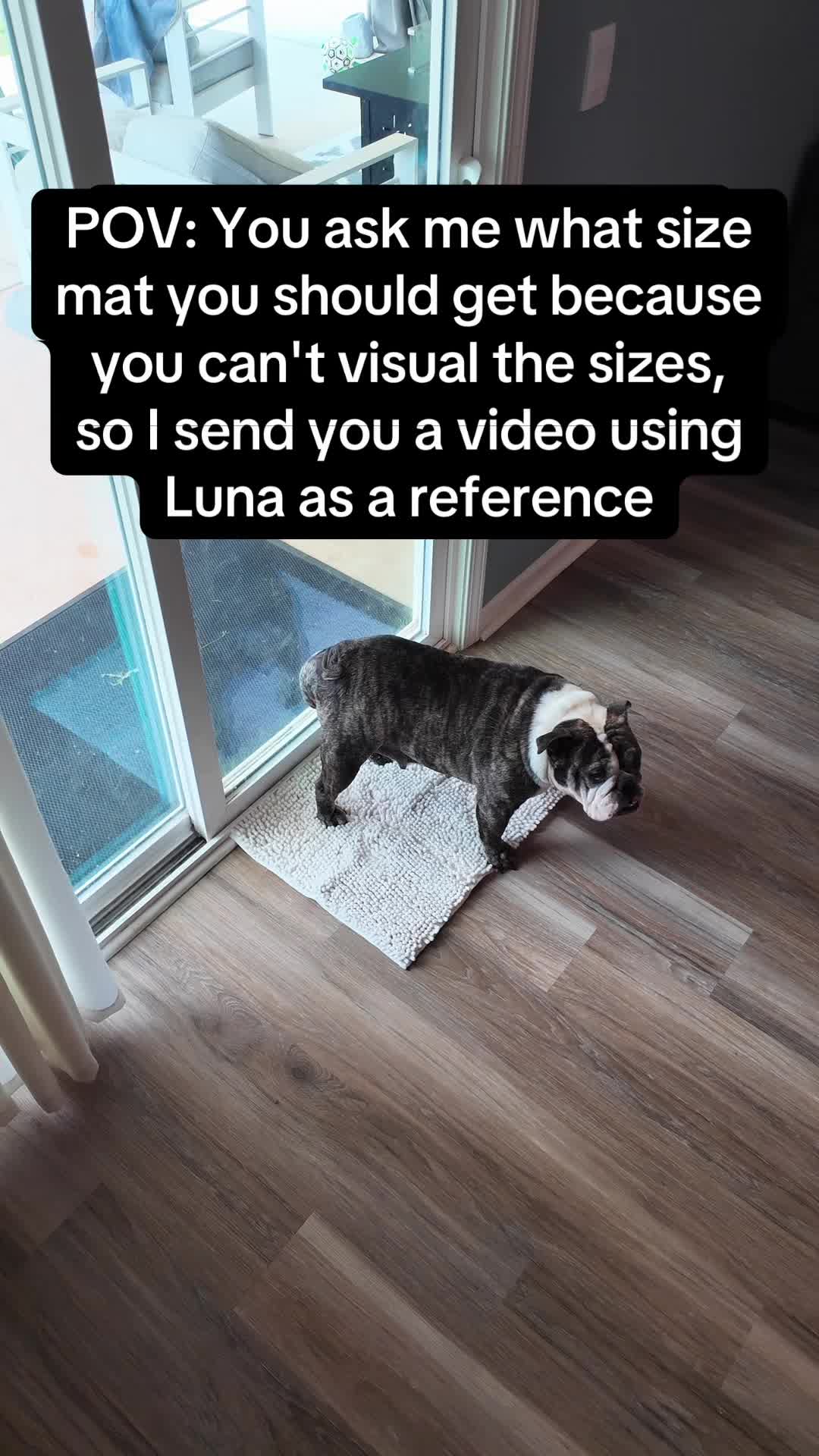 TikTok post by @thebulldognest for Muddy Mat. Caption reads: POV: You ask me what size @Muddy Mat you should....