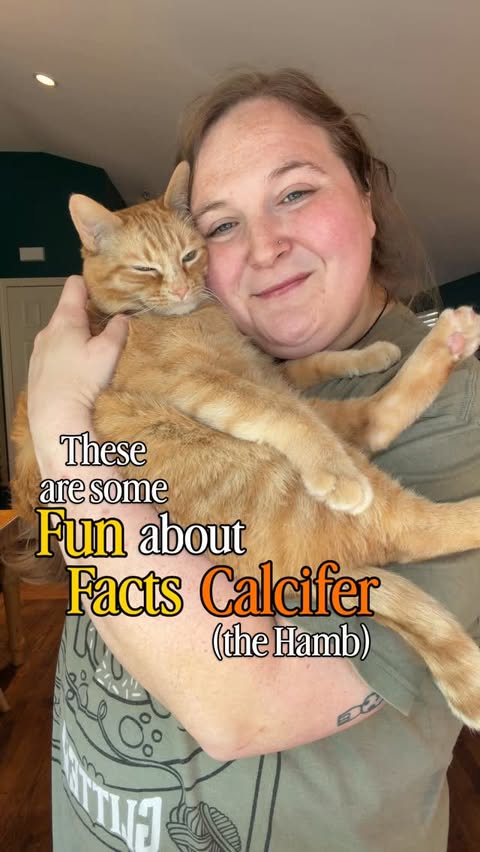 Instagram post by @calcifer.cat for Chewy. Caption reads: [...] allergies. And with special thanks to @Chewy....