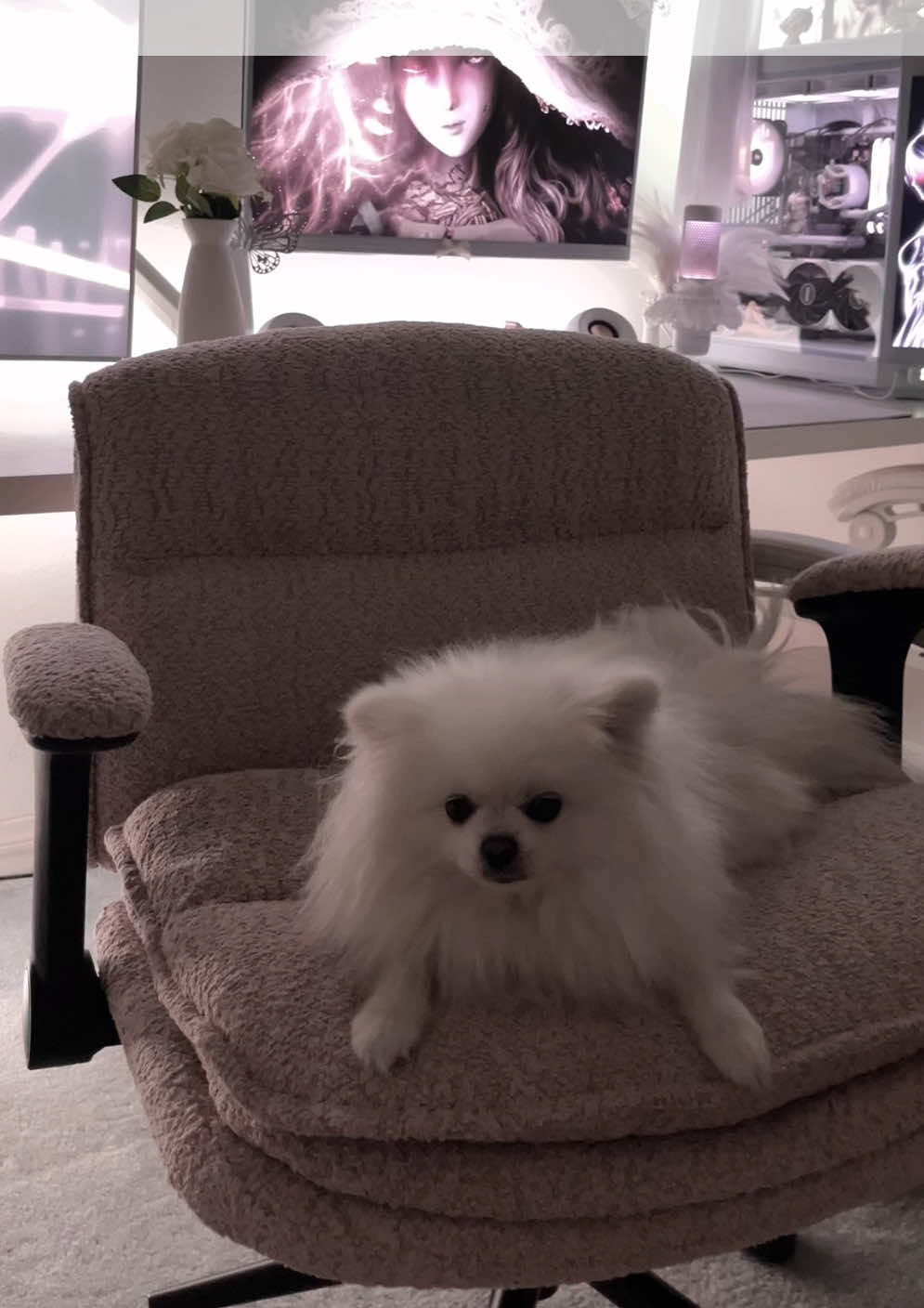 TikTok post by @cygneix for DOWINX. Caption reads: @Dowinx and their lovely chairs again!! 🤍 [...].