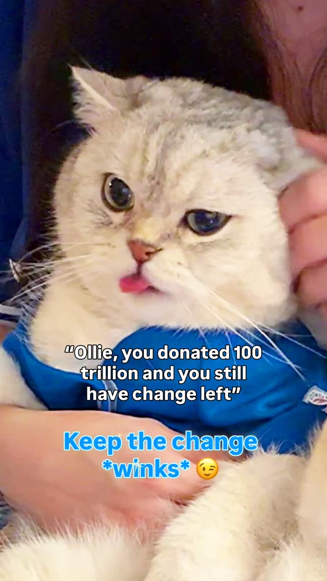 Instagram post by @diaryofollie for Rogers. Caption reads: Did Ollie save the day in his Blue Jays jersey?....