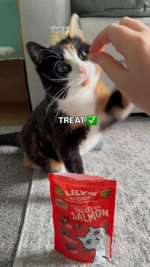 Instagram post by @a.cat.named.callie for Lily's Kitchen. Caption reads: [...] I think I deserve them regardless 🐾....