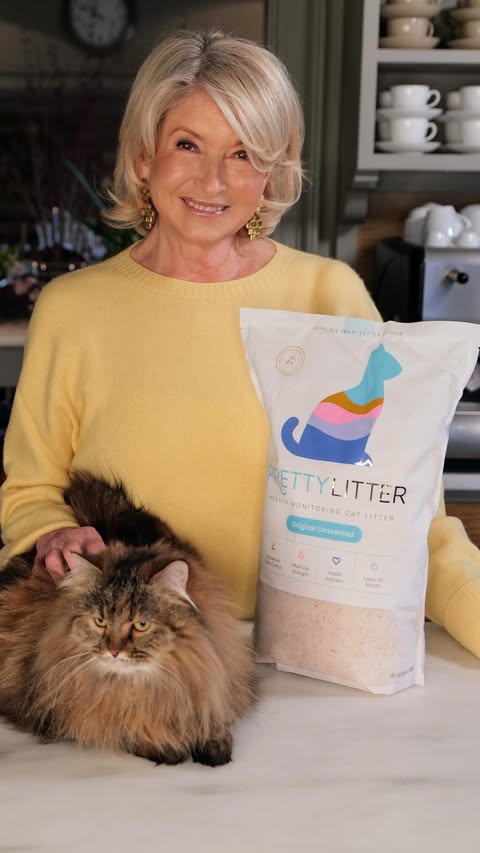 Instagram post by @marthastewart48 for PrettyLitter. Caption reads: Meet my new cats! This year I adopted four....