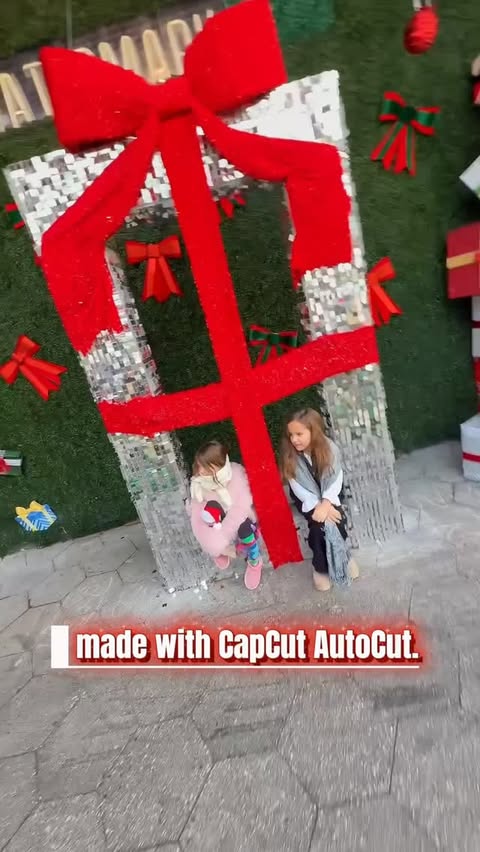 Instagram post by @thedaddiaries.ca for CapCut. Caption reads: If you ever wondered how a dad of twins who runs....