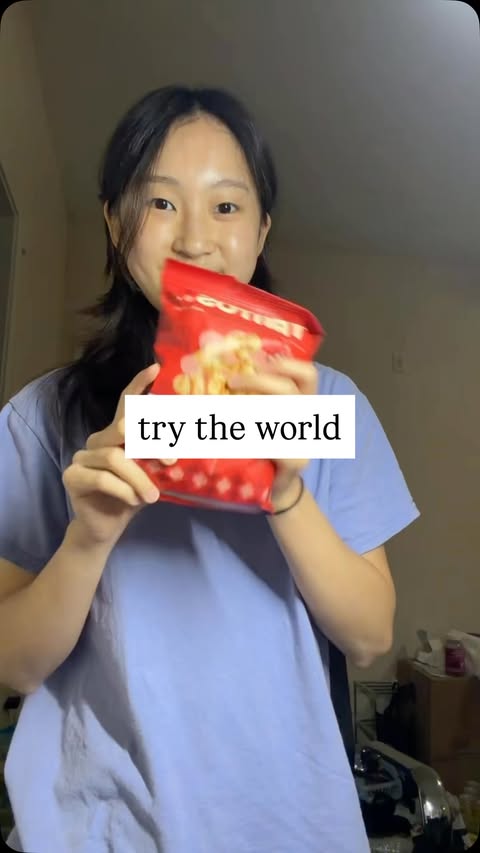 Instagram post by @the.foodie.patootie for Try The World. Caption reads: [...] just got this global snack box from....