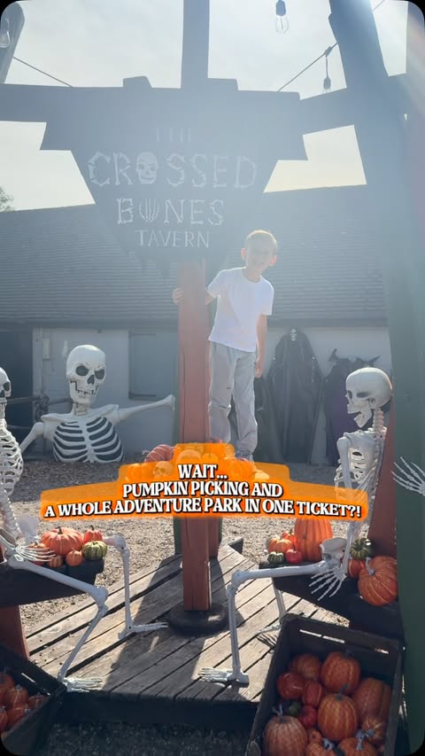 Instagram post by @oureverydaychaos for Hobbledown. Caption reads: [...] ADVENTURE PARK IN ONE TICKET?! 🎃👀....