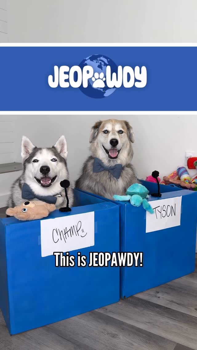Instagram post by @halfhuskybros for Zoetis Petcare. Caption reads: This is JEOPAWDY! @ZoetisPetcare #ad
 
Zoetis....