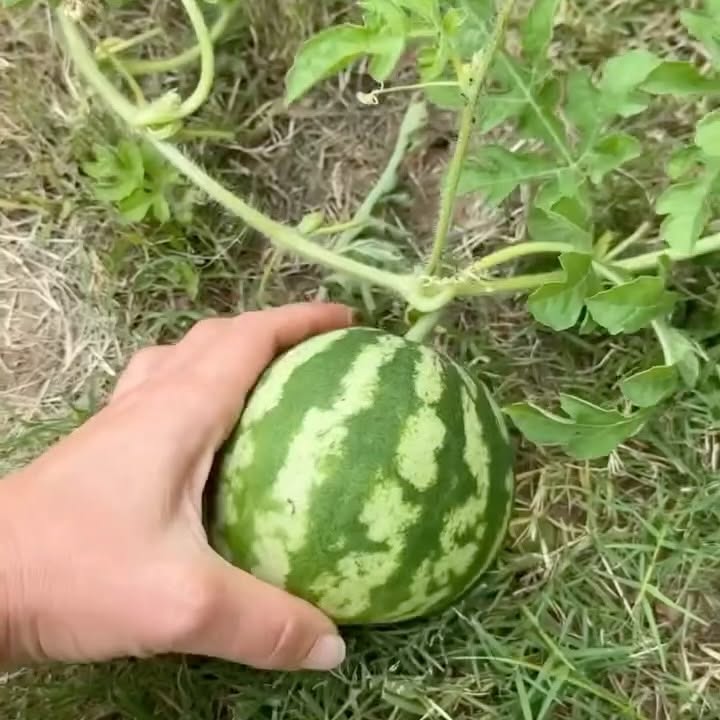 Instagram post by @our.blog.life for DERMA•E. Caption reads: ⛈️ Stormy afternoon straight to an evening wind....