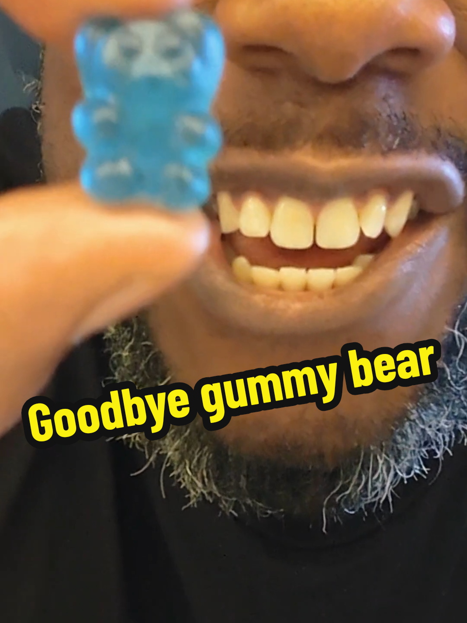 TikTok post by @lovingthatone for SoSweet. Caption reads: All the bears went to a better place 🙄 🐻 ....