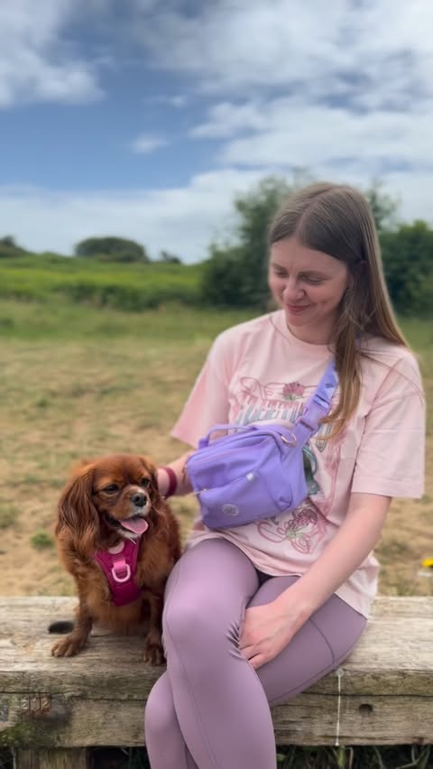 Instagram post by @ruby_cavalier1 for Pawsome Paws Boutique. Caption reads: Introducing 1/6 new bumbag colour ways 💜 Mix and....