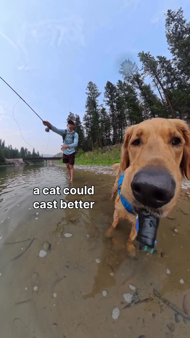 Instagram post by @willys360world for ORIJEN Petfoods. Caption reads: I may not be able to teach you how to fish but I....