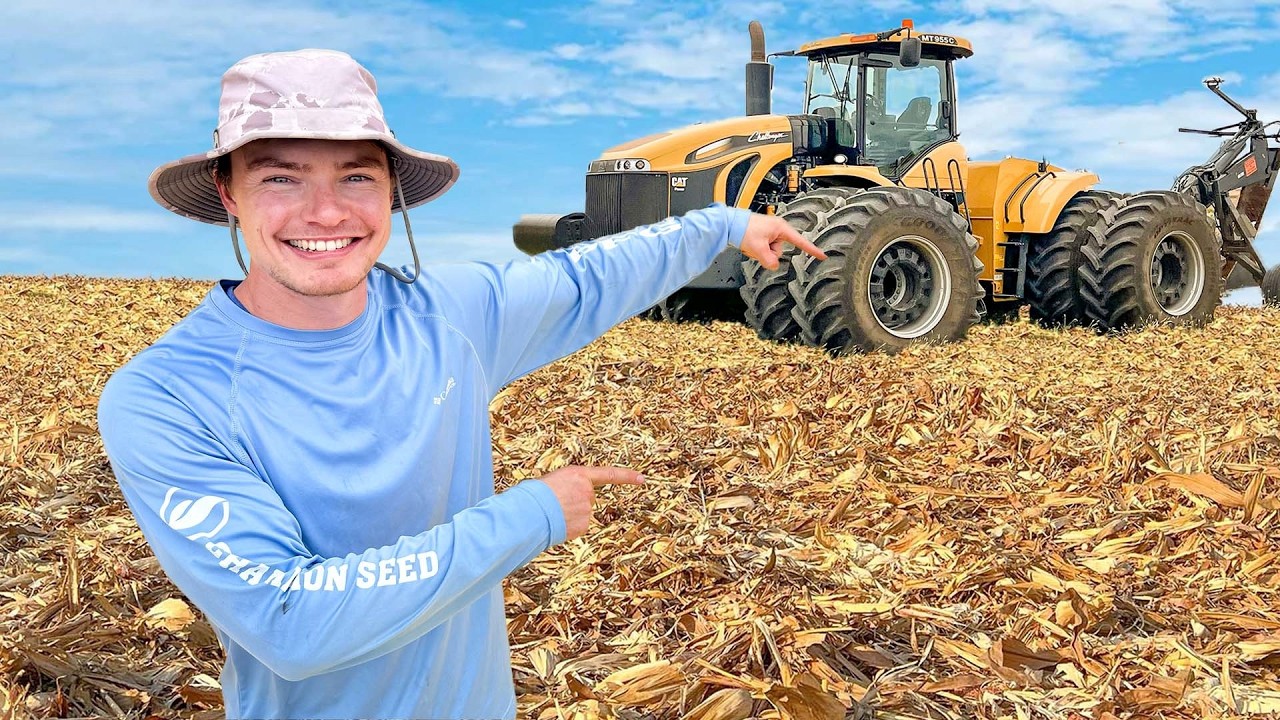 YouTube post by @ColeTheCornstar for SimpliSafe. Caption reads: I Am Saving My Farm $2,000,000.