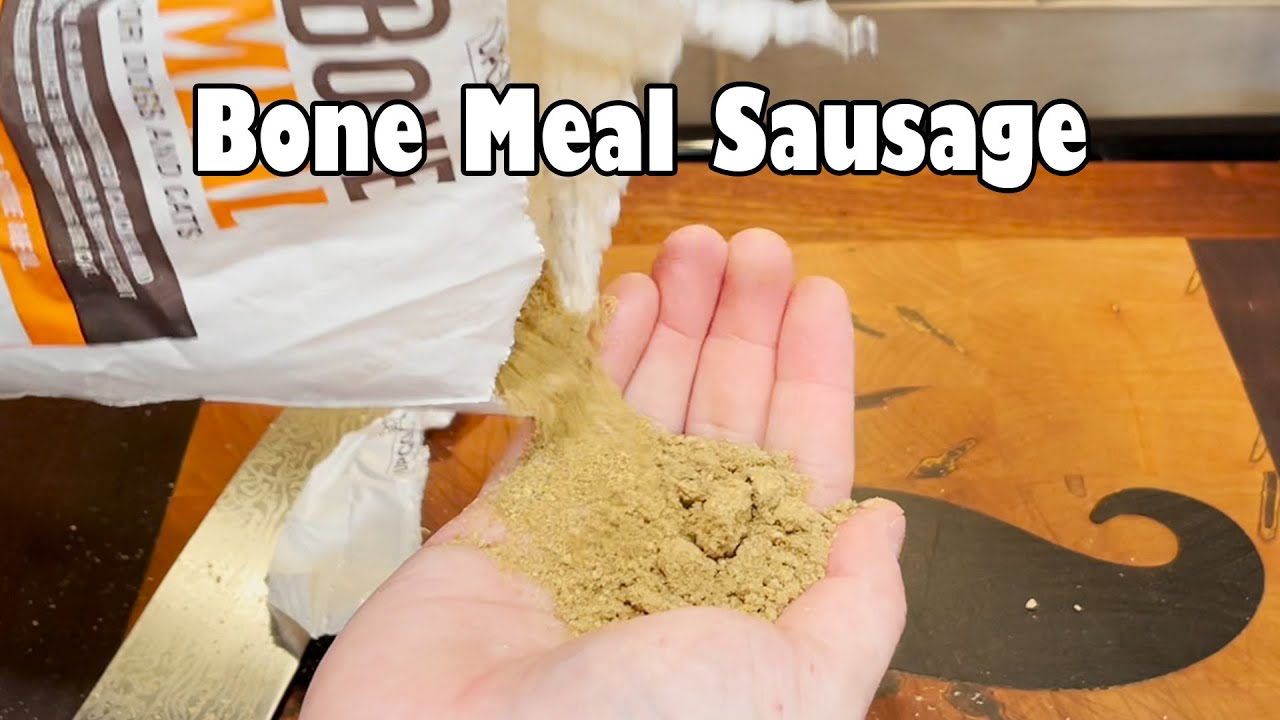 YouTube post by @OrdinarySausage for Helix Sleep. Caption reads: Bone Meal Sausage.