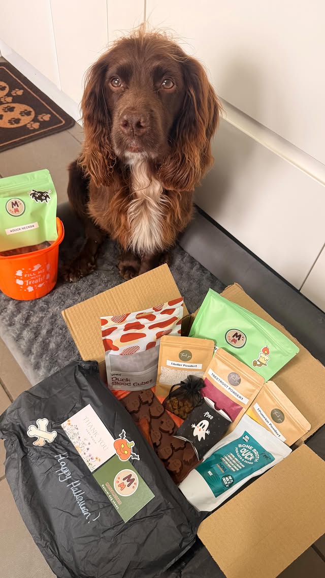 Instagram post by an influencer for Moose & Mustard. Caption reads: Happy Munchie Monday 😋 Check out my boo box this....