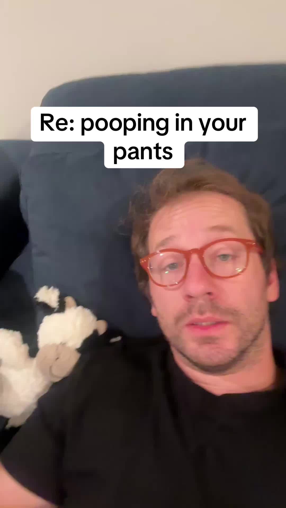 TikTok post by @dadchats for Honest. Caption reads: Pooping your pants shouldn’t hurt your skin.....