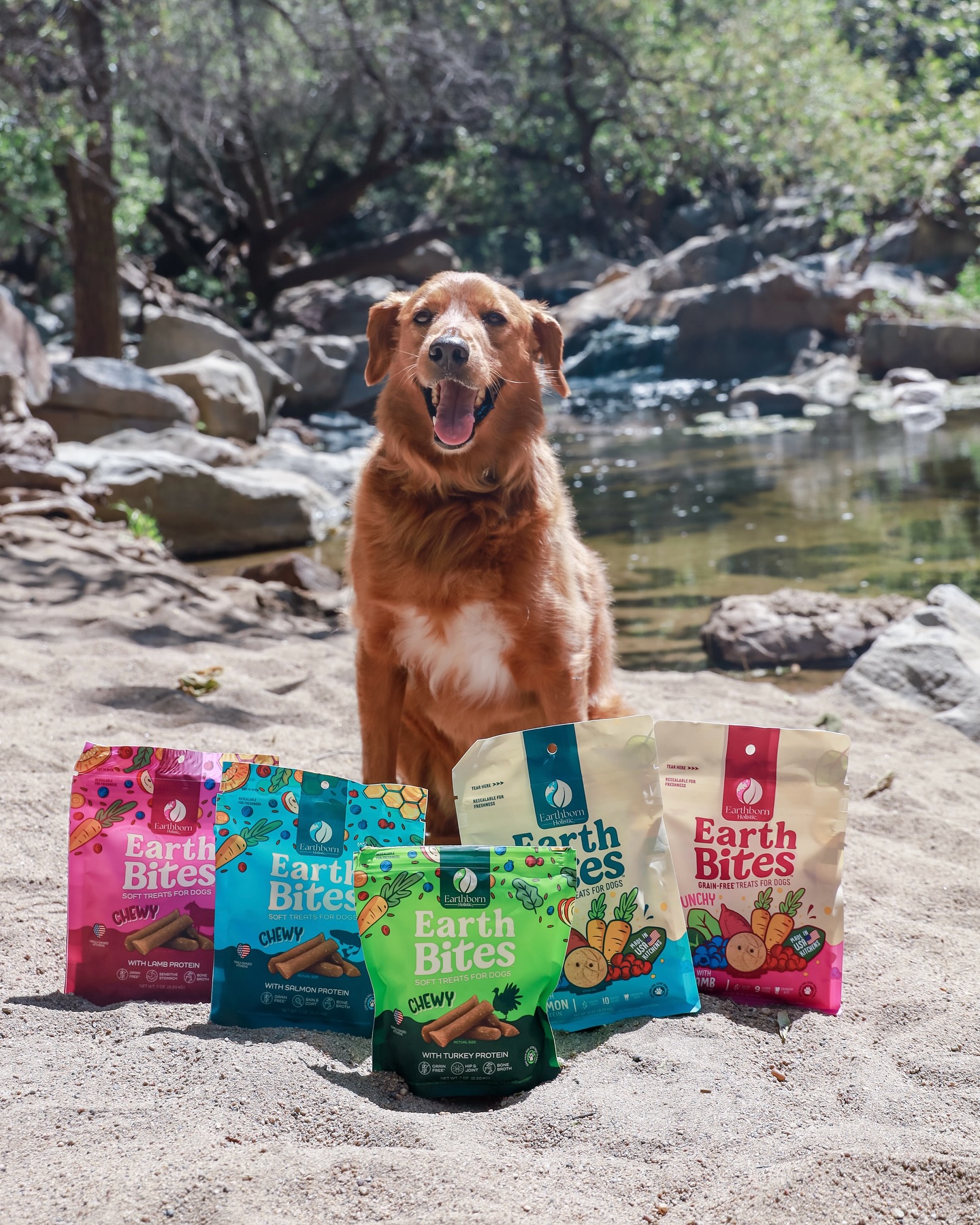 Instagram post by @chance_the_mini_golden for Earthborn Holistic Pet Food. Caption reads: #sponsored
There’s no better way to celebrate....