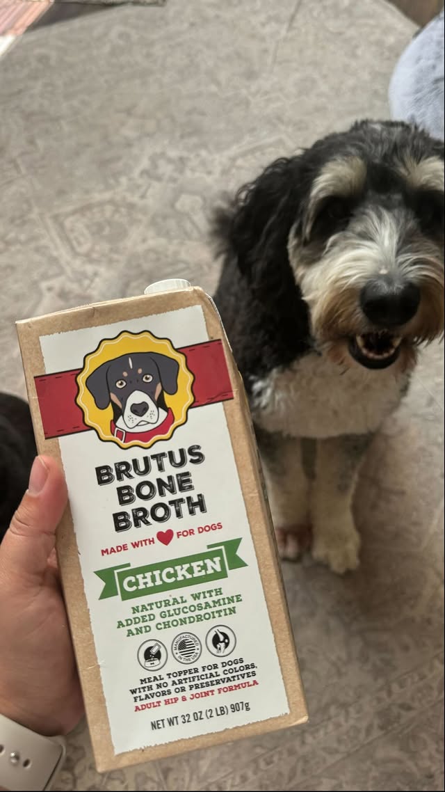 Instagram post by @dogtorkristi for Brutus Broth. Caption reads: [...] Dr. Kristi, Ren, and Romeo approved!....