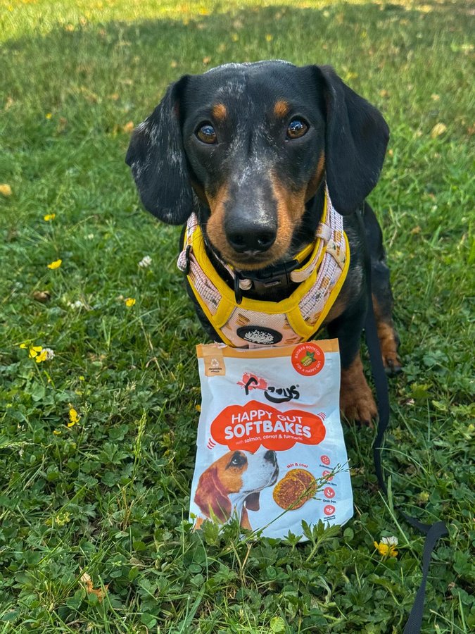 Instagram post by @arlo__thesausage for Frozzys. Caption reads: 😍𝕄𝕖&𝕗𝕣𝕠𝕫𝕫𝕪𝕤 = 𝕥𝕣𝕦𝕖....