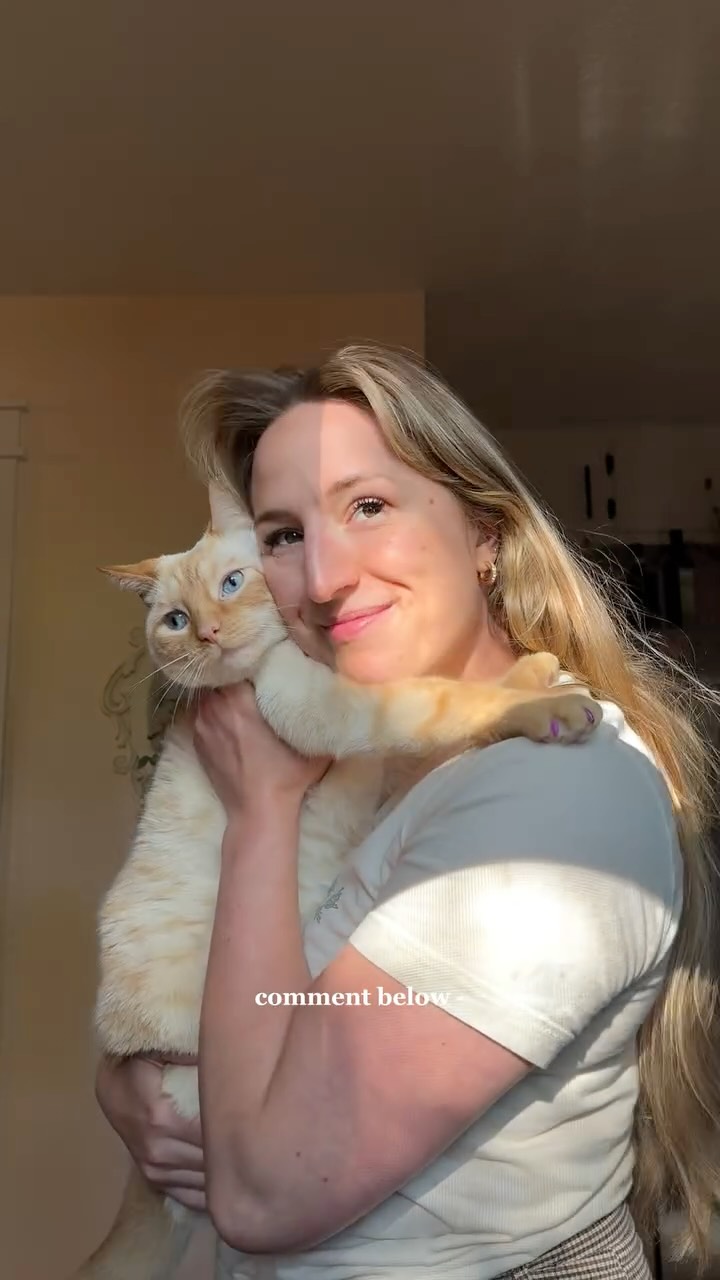 Instagram post by @arabella.overton for Primal Pet Foods. Caption reads: Comment “KIBBLE” for the link to my fav raw pet....