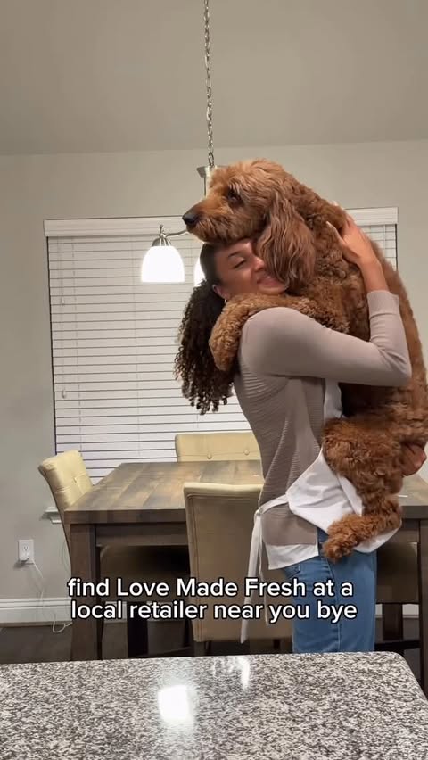 Instagram post by @alexjeannnn for blue buffalo. Caption reads: #BlueBuffaloPartner The perfect way to spice up....