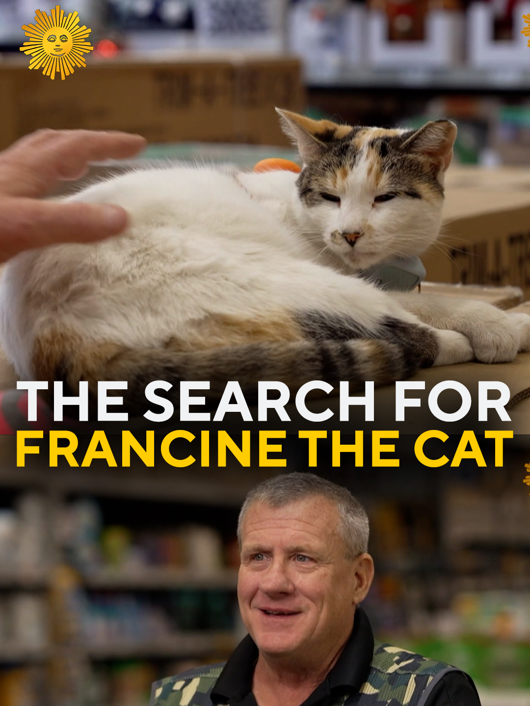 TikTok post by @cbssundaymorning for Lowe's. Caption reads: Francine the cat was a beloved fixture at a Lowe’s....