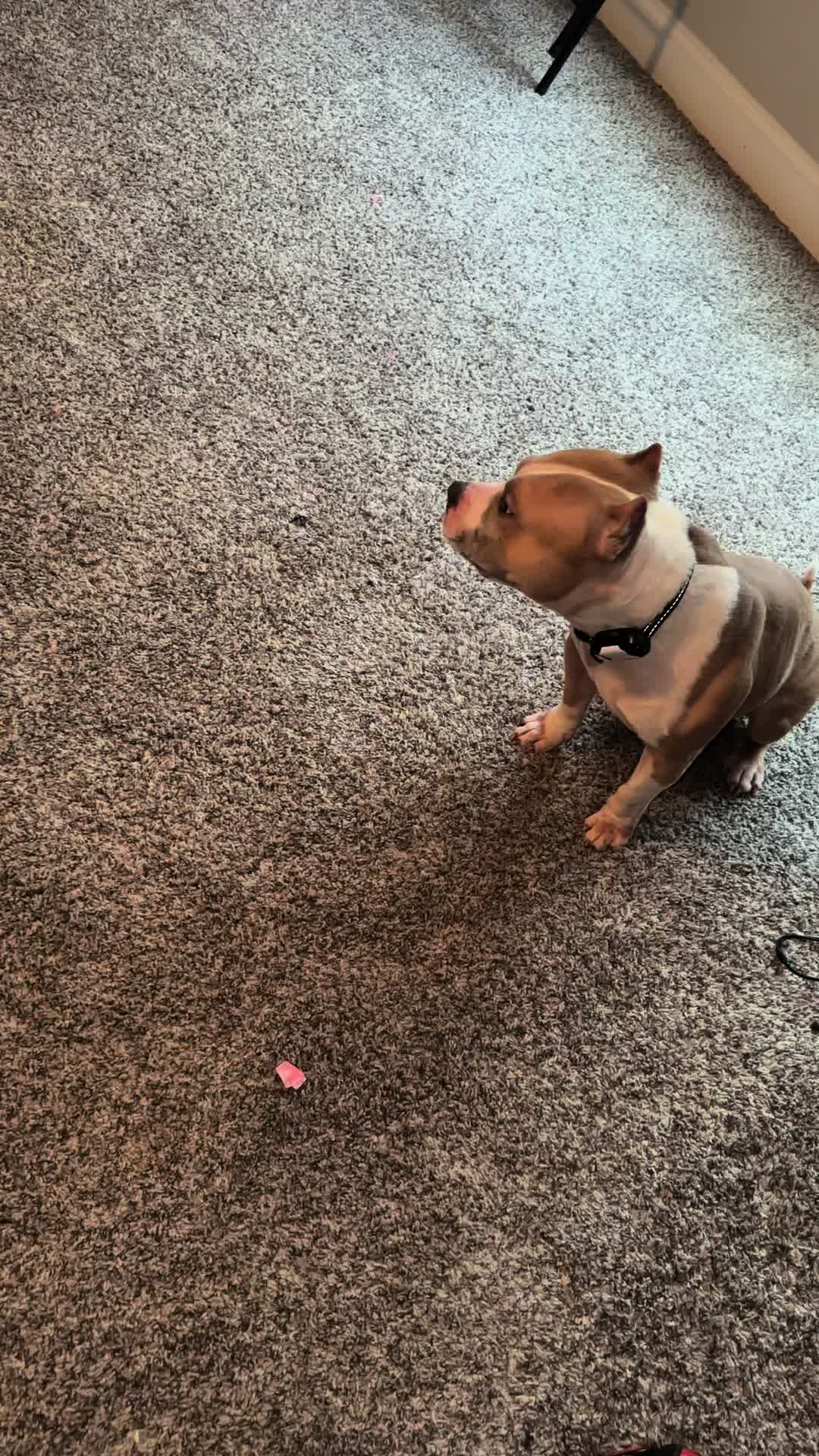 TikTok post by @nellandbando for ESR. Caption reads: Bro said my phone will never go below 10% agian....