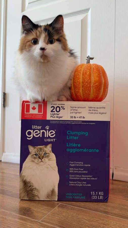 Instagram post by @theoreocatofficial for Litter Genie. Caption reads: [...] no added fragrances or additives,....