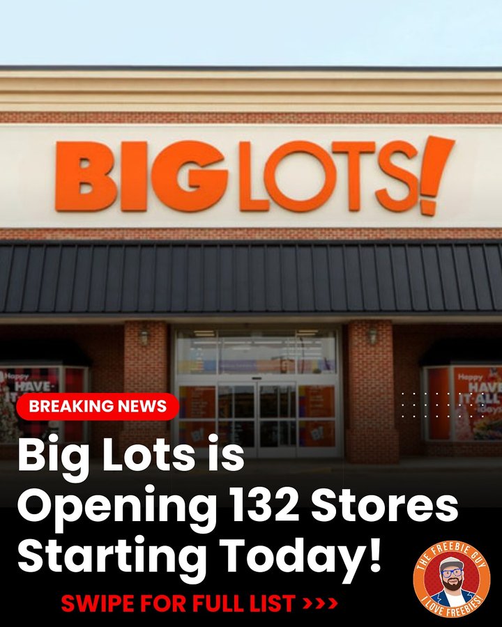 Instagram post by @thefreebieguy for biglots. Caption reads: LETS GOOO! @biglots opened 54 new stores today....