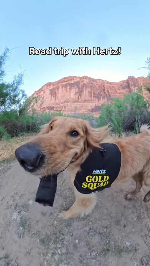 Instagram post by @willys360world for Hertz. Caption reads: I’m on the road with @hertz! Can you guess where....
