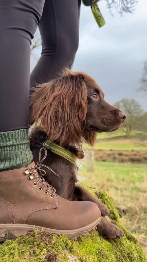 Instagram post by @martha_sprocker for LANX. Caption reads: [...] just got a whole lot comfier 🤌🏼 @lanxshoes....
