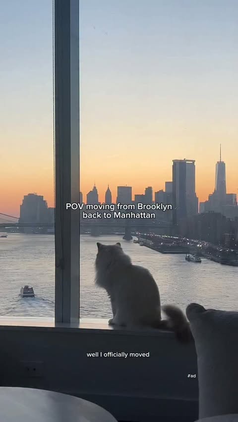 Instagram post by @hana.elson for Apartments.com. Caption reads: [...] market without losing my mind!!....