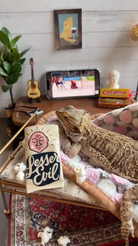 Instagram post by @whosagoodlizard for LesserEvil Snacks. Caption reads: [...] house, bed in the living room, and....