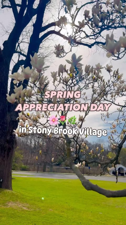 Instagram post by @stonybrookvillage for Discover Long Island. Caption reads: 🌸🎶 Get ready to celebrate the beauty of spring....