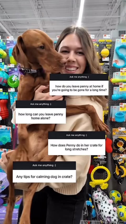 Instagram post by @ojtennison for Kradle. Caption reads: I get asked so often about how long Penny can stay....