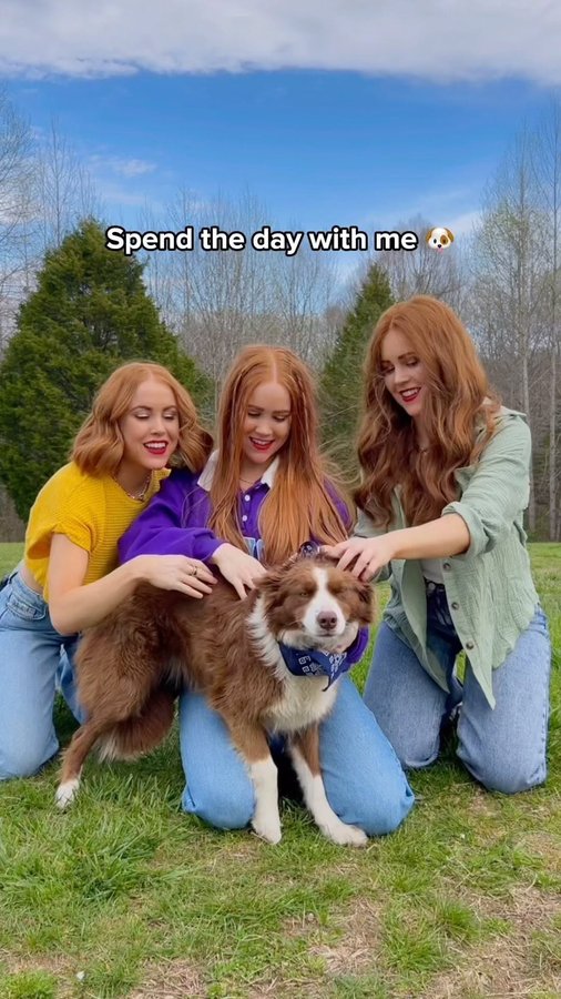 Instagram post by @taylorred for Optimeal. Caption reads: Honey 🐶 loves @optimeal.usa bc Meat/Fish is the....