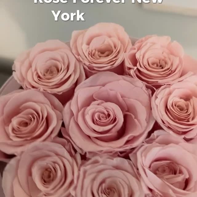 Instagram post by @thisstellarjourney for Rose Forever. Caption reads: Timeless beauty that never fades 🌹✨ These....