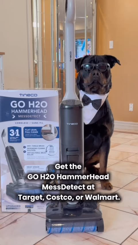 Instagram post by @rottieboymoose for Tineco. Caption reads: [...] feel this easy 😳✨ I’ve been using the....