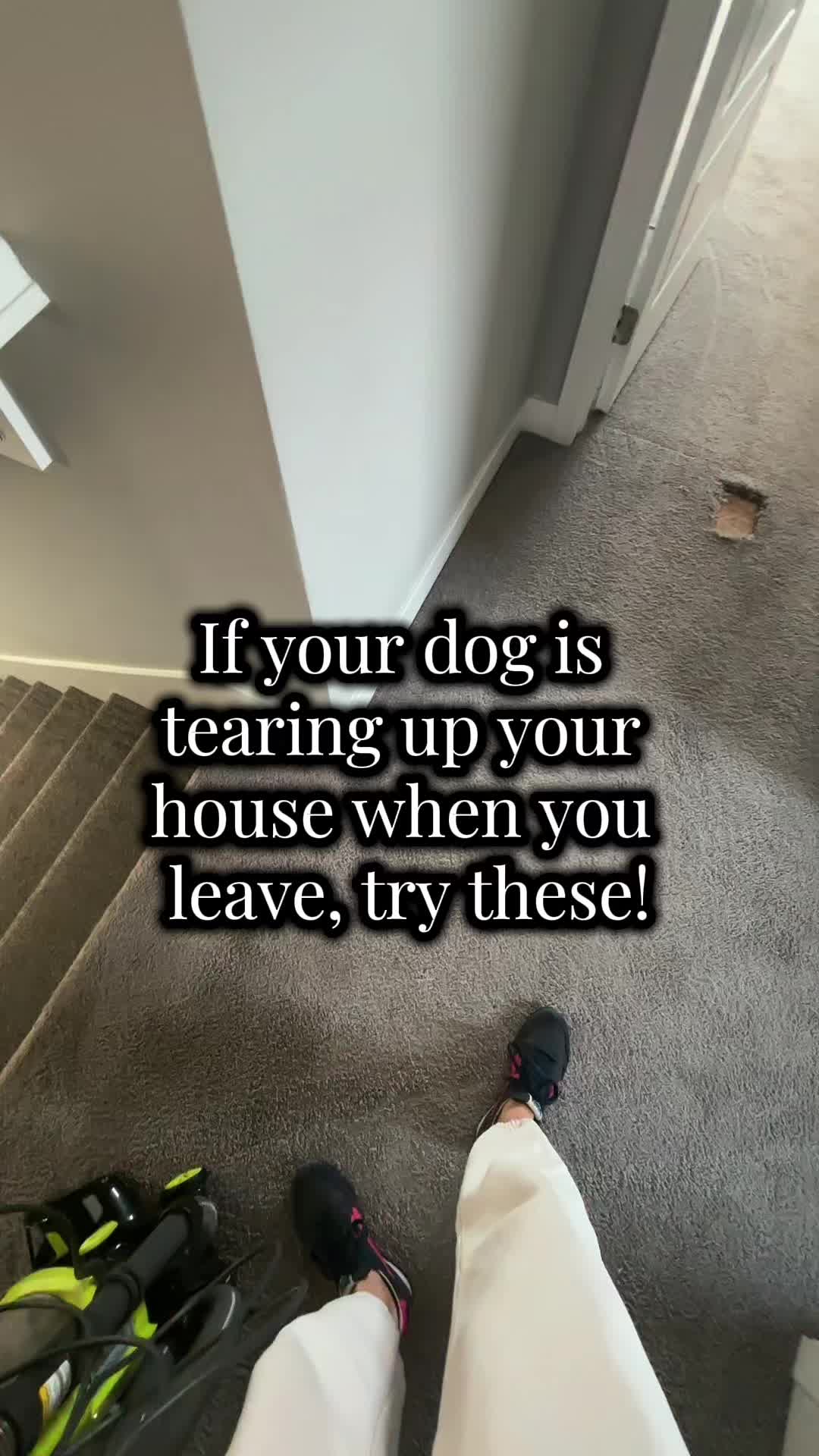 TikTok post by @christymalia for Kradle. Caption reads: [...] treats 💯 #dogtreats #dog #dogsoftiktok....