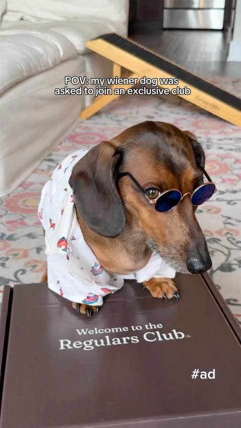 Instagram post by @sprinklestheweenie for Earth Rated. Caption reads: [...] only) @zestypaws, @solidgoldpets &....