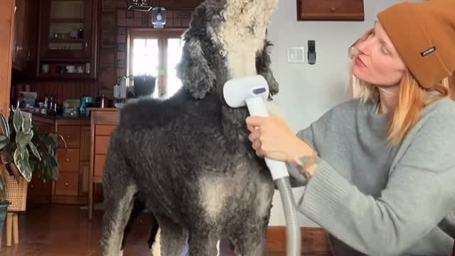 Instagram post by @whataboutbunny for Oneisall. Caption reads: Use code YONEISALL for 20% off this epic 6 in 1....