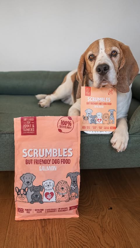 Instagram post by @basil_the_beagle.uk for Scrumbles. Caption reads: [...] health! 

Basil’s loving his dry + wet....