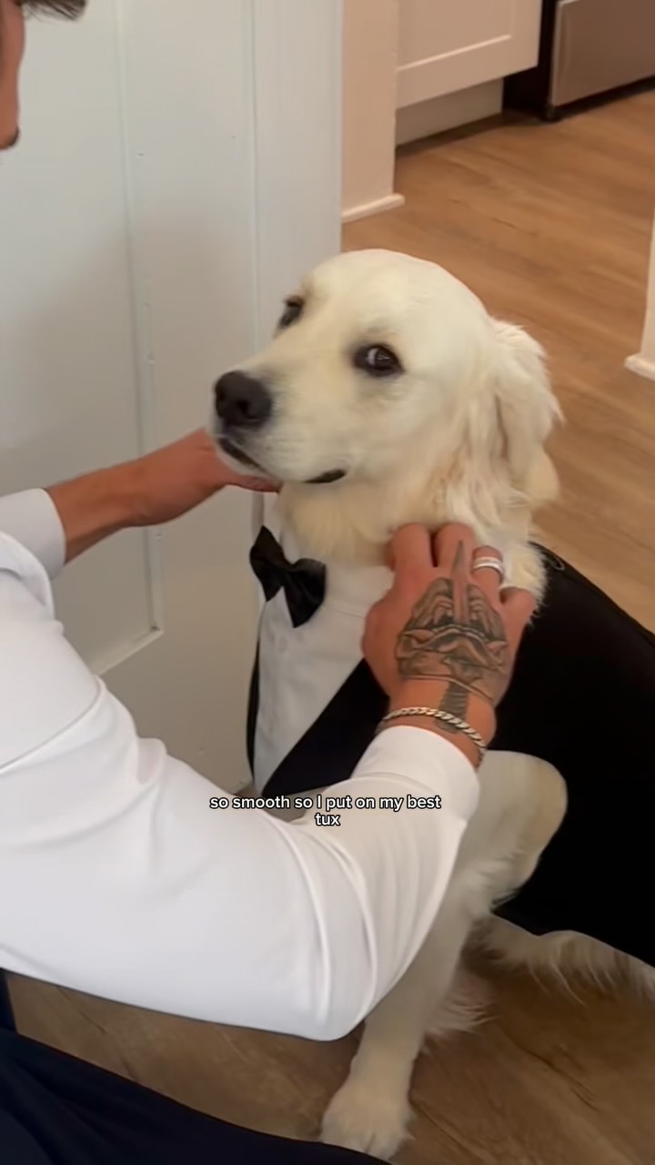 Instagram post by @goldenchilaquil for OpenTable. Caption reads: Dreams do come true thanks to @opentable....