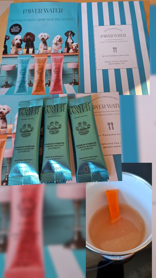 Instagram post by @thepawfectfamily5 for Pawer Water. Caption reads: We were kindly gifted @pawerwater and our pups....