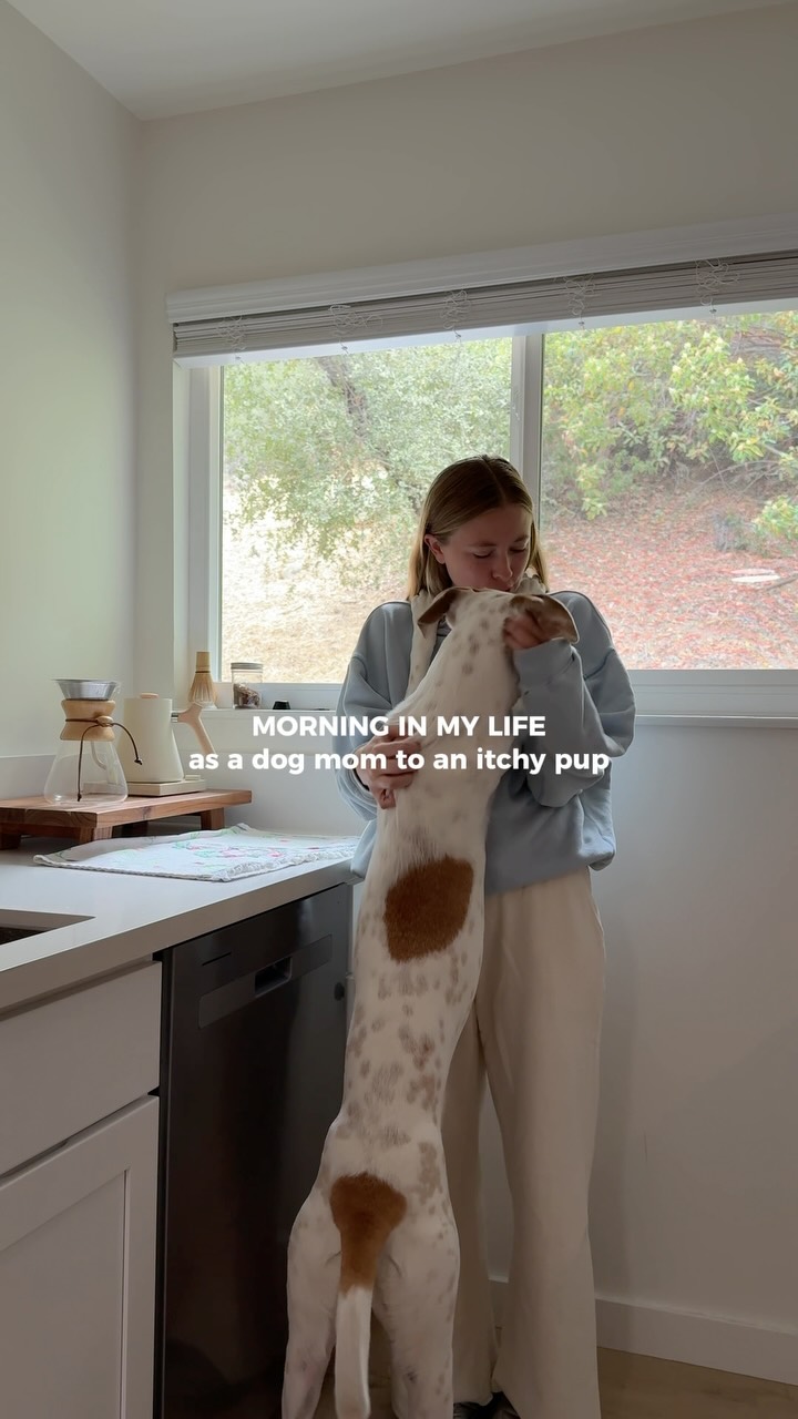 Instagram post by @lalalauuureeeen for Skout's Honor. Caption reads: A morning with my girls featuring @skoutshonor....