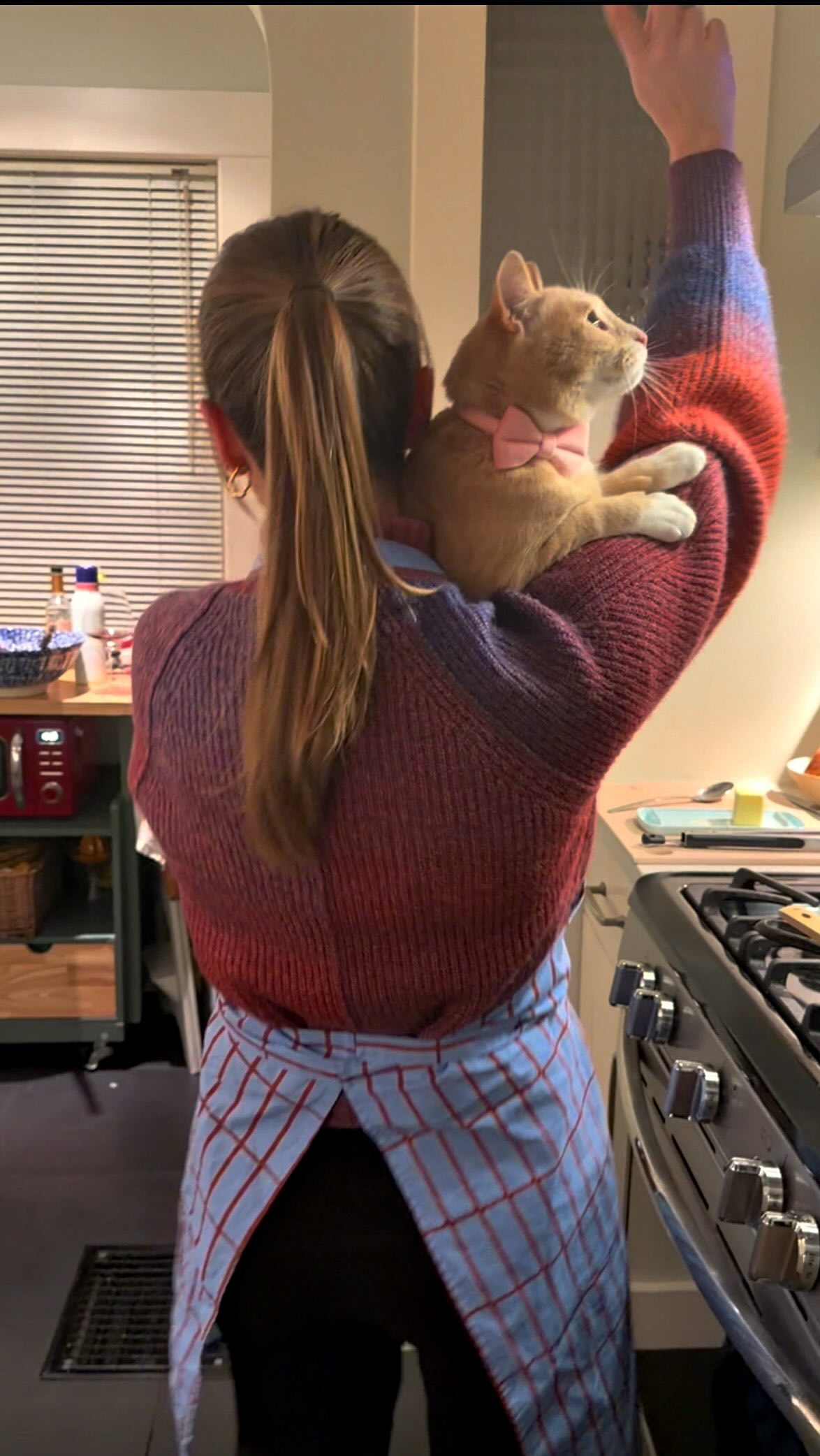 Instagram post by @cookingwithrel for ACANA Petfoods. Caption reads: #ad The cats deserve a dinner party too. 🥹🐈 Last....