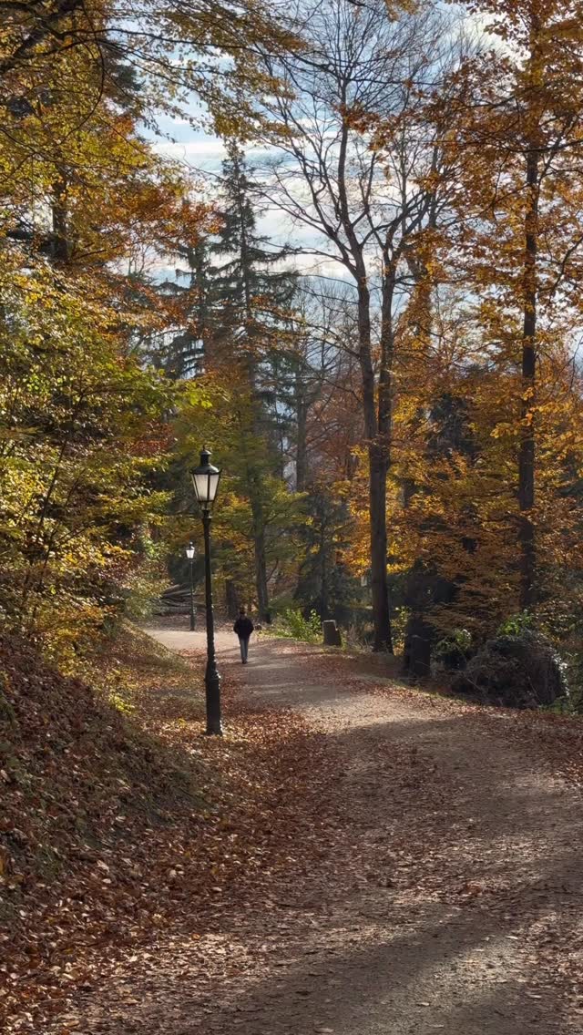 Instagram post by @calmaguide.zurich for ifolor. Caption reads: [...] a personalized Advent calendar from @ifolor....