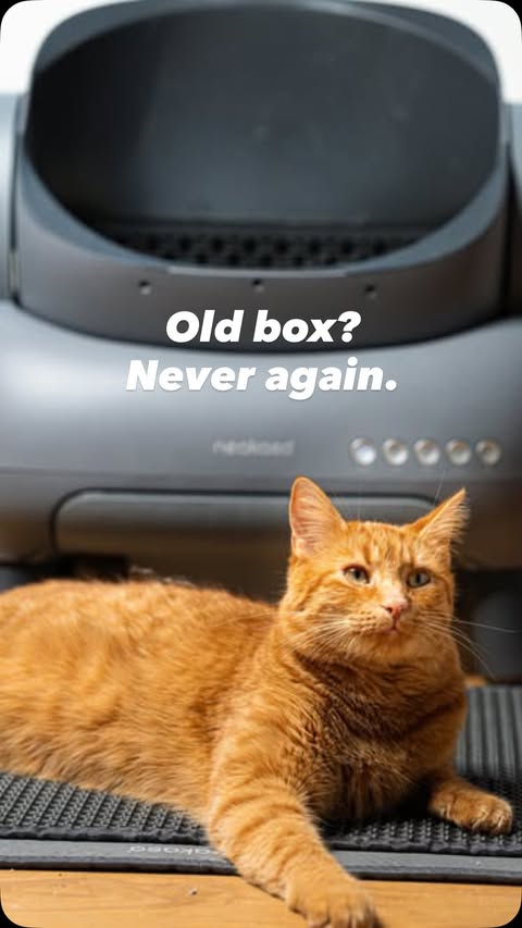 Instagram post by @blues_fleecircus for Neakasa. Caption reads: [...] upgraded our litter box game 😼 One Neakasa....