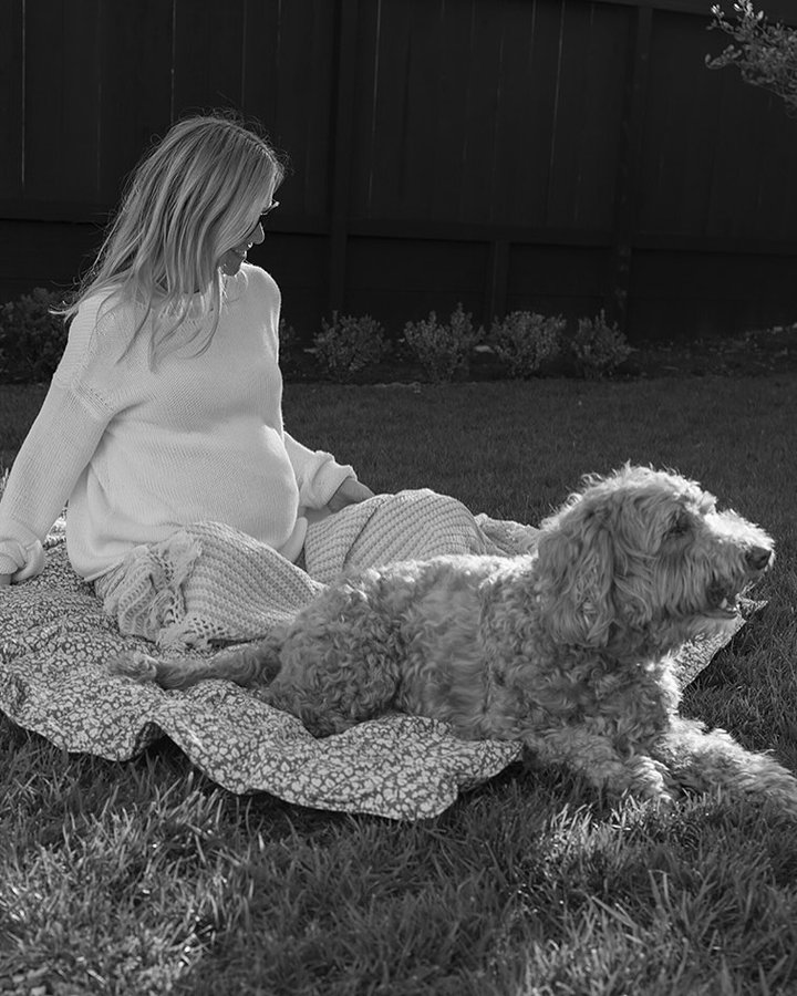 Instagram post by @ashleykane for Garnet Hill. Caption reads: Spring textile refresh from one of my favorites....